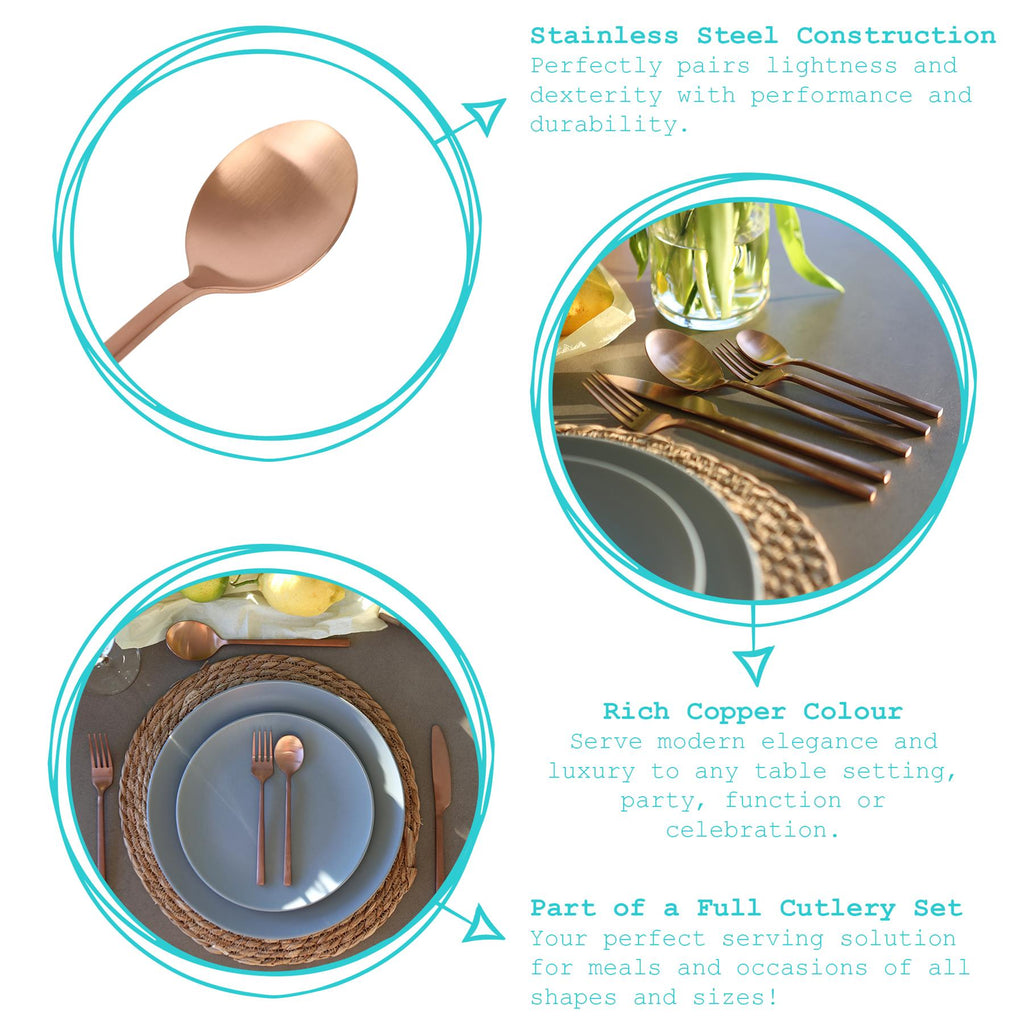 Stainless Steel Dessert Spoons - 20cm - Pack of Four