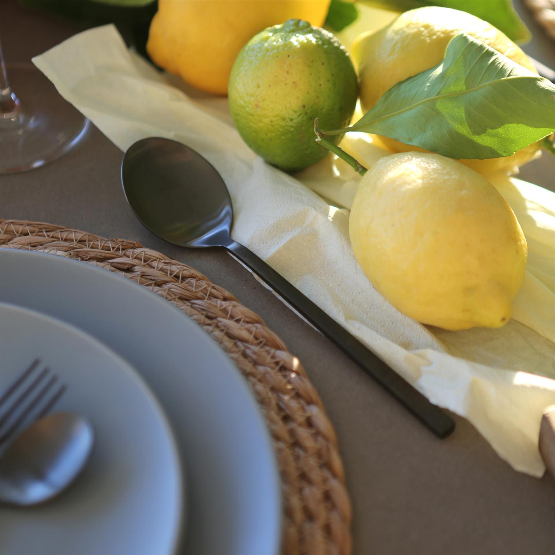 Stainless Steel Dessert Spoons - 20cm - Pack of Four