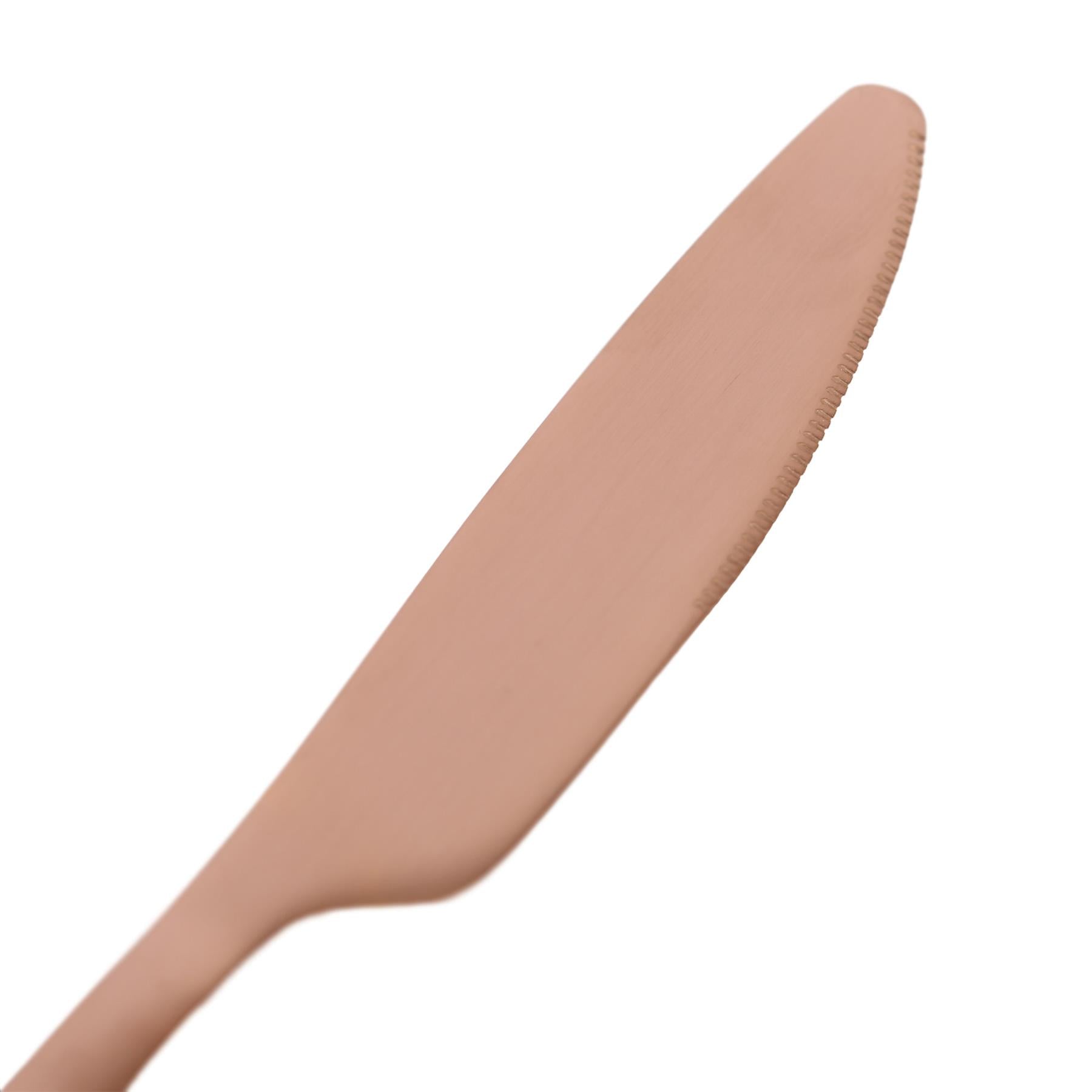 Stainless Steel Dinner Knives - 21cm - Pack of Four