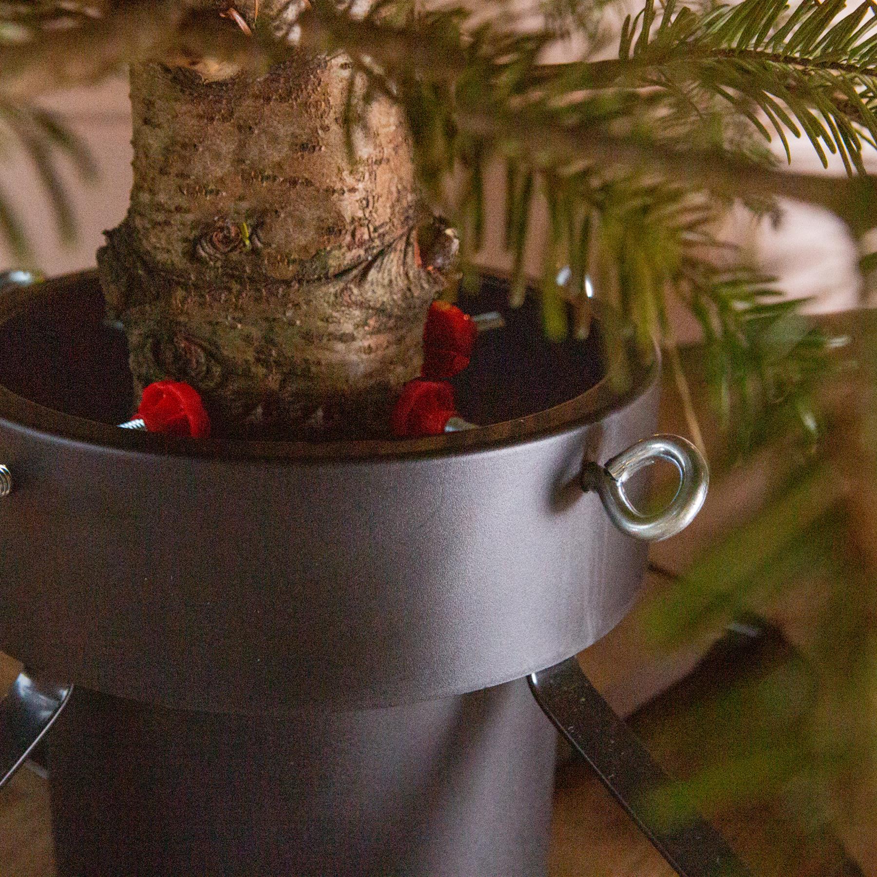 Classic Real Christmas Tree Stand - 5.5in